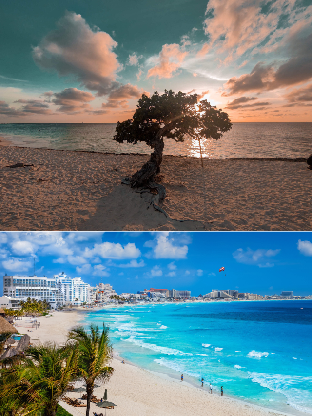 Best Time To Visit Aruba